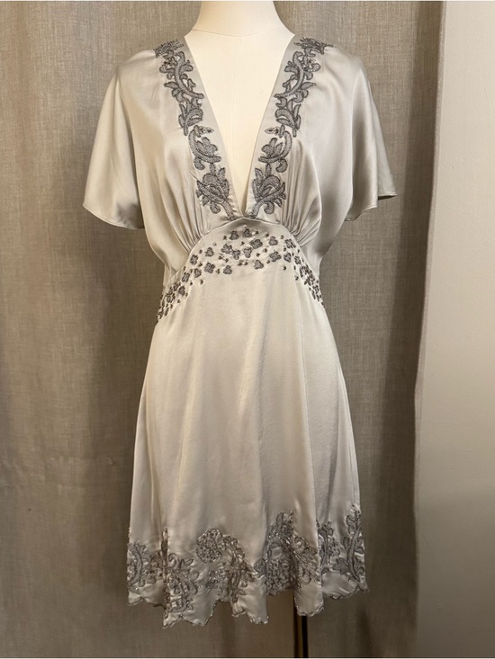 Zara Dresses & Skirts - Zara Embroidered Mini Dress Pearl Gray XS Beaded V-Neck